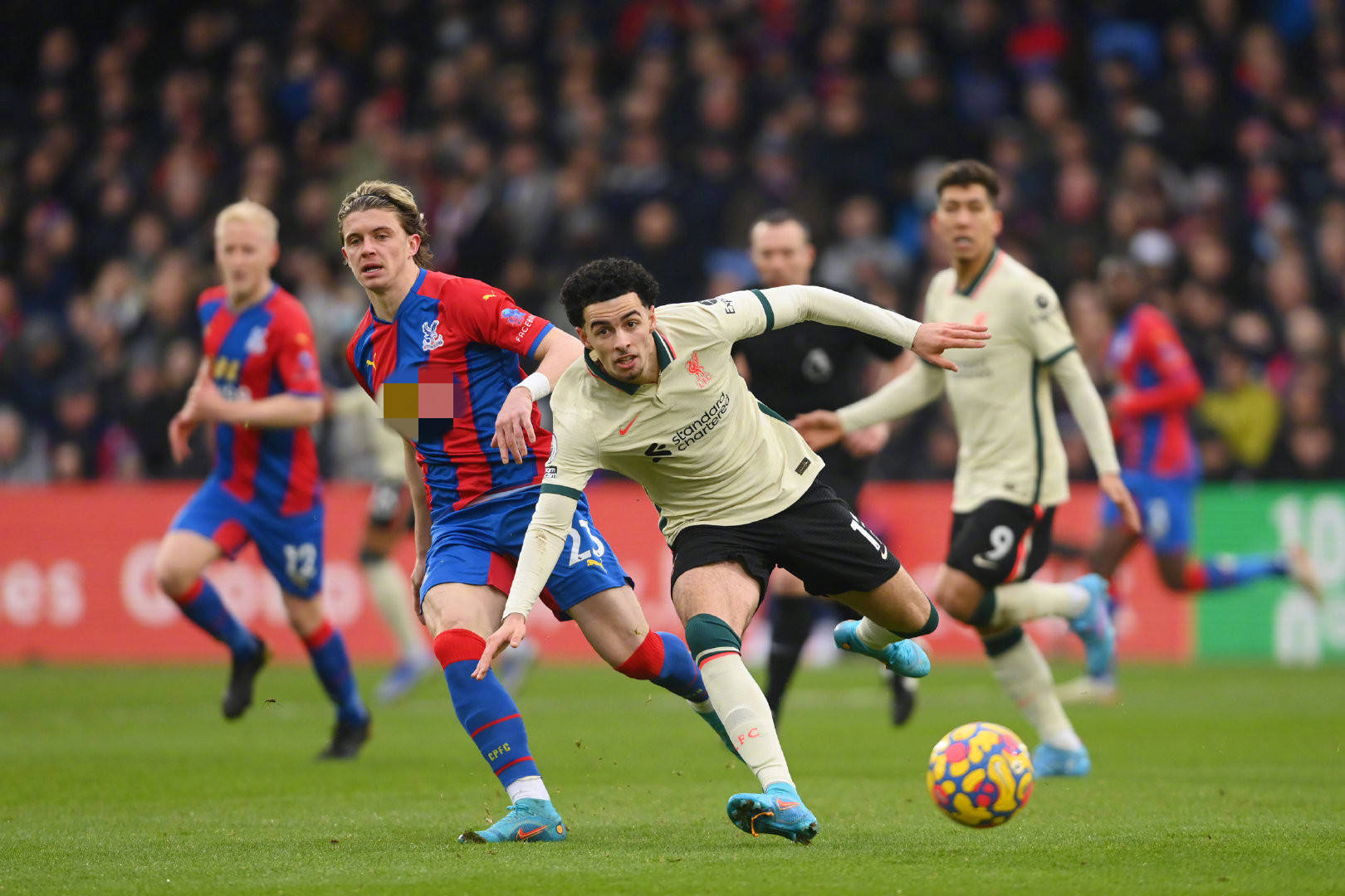 队的行为 队的行为